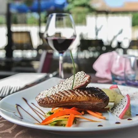 Hotel Logis Restaurant Nissan-lez-Enserune