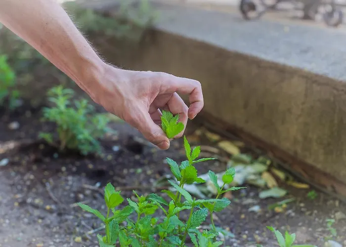 Logis Restaurant 3* Nissan-lez-Enserune